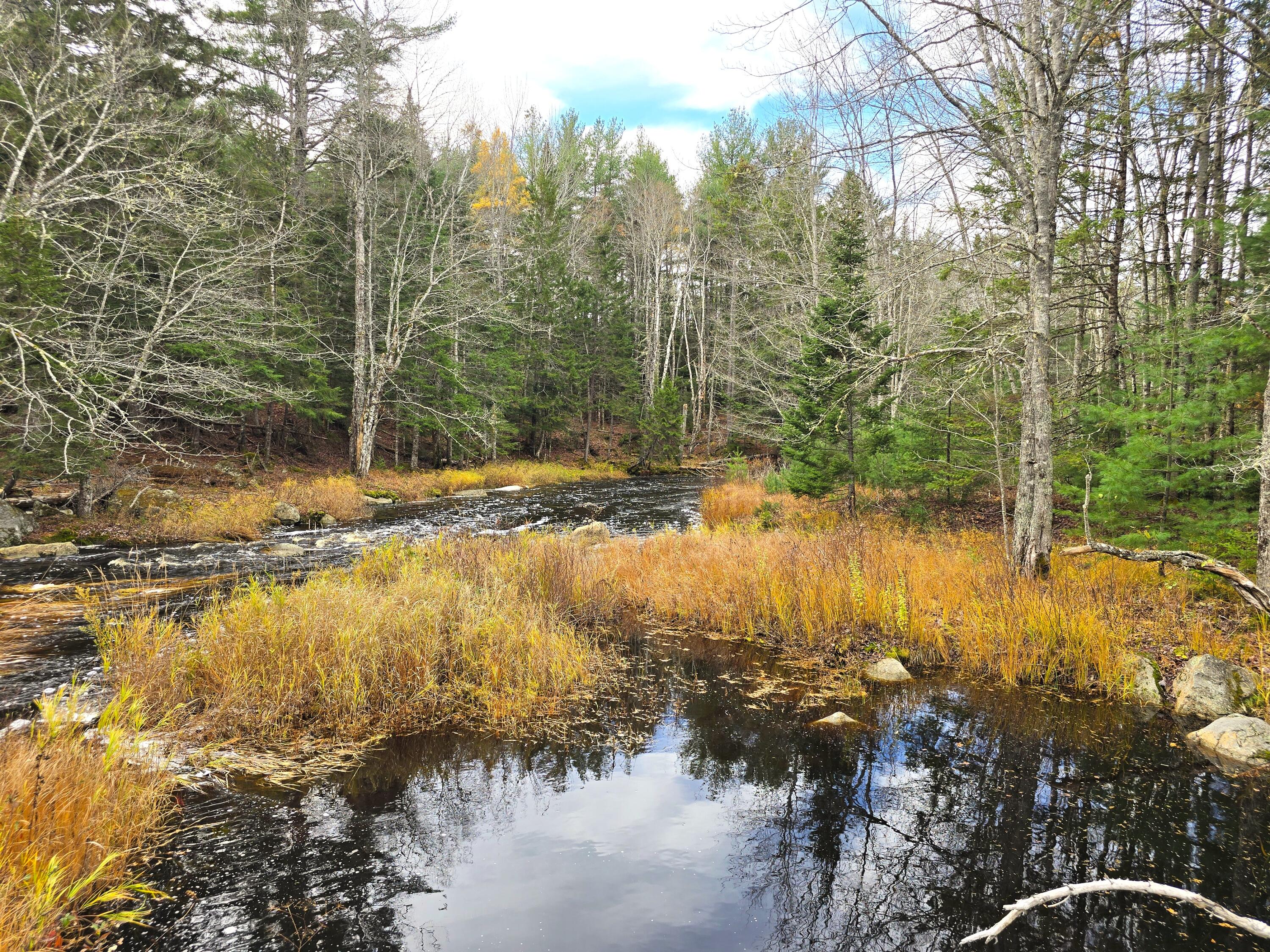 425 Saco Road