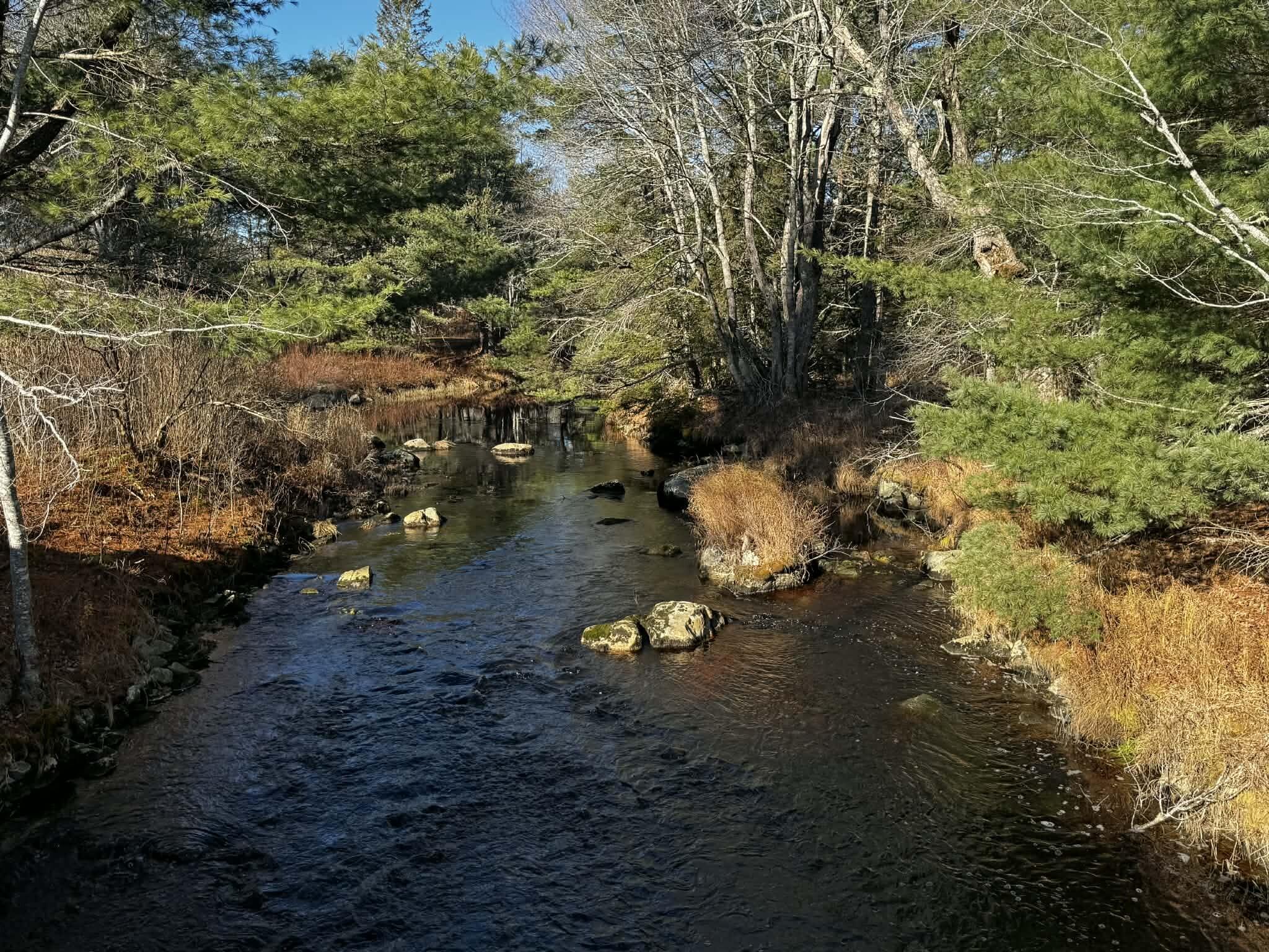 425 Saco Road