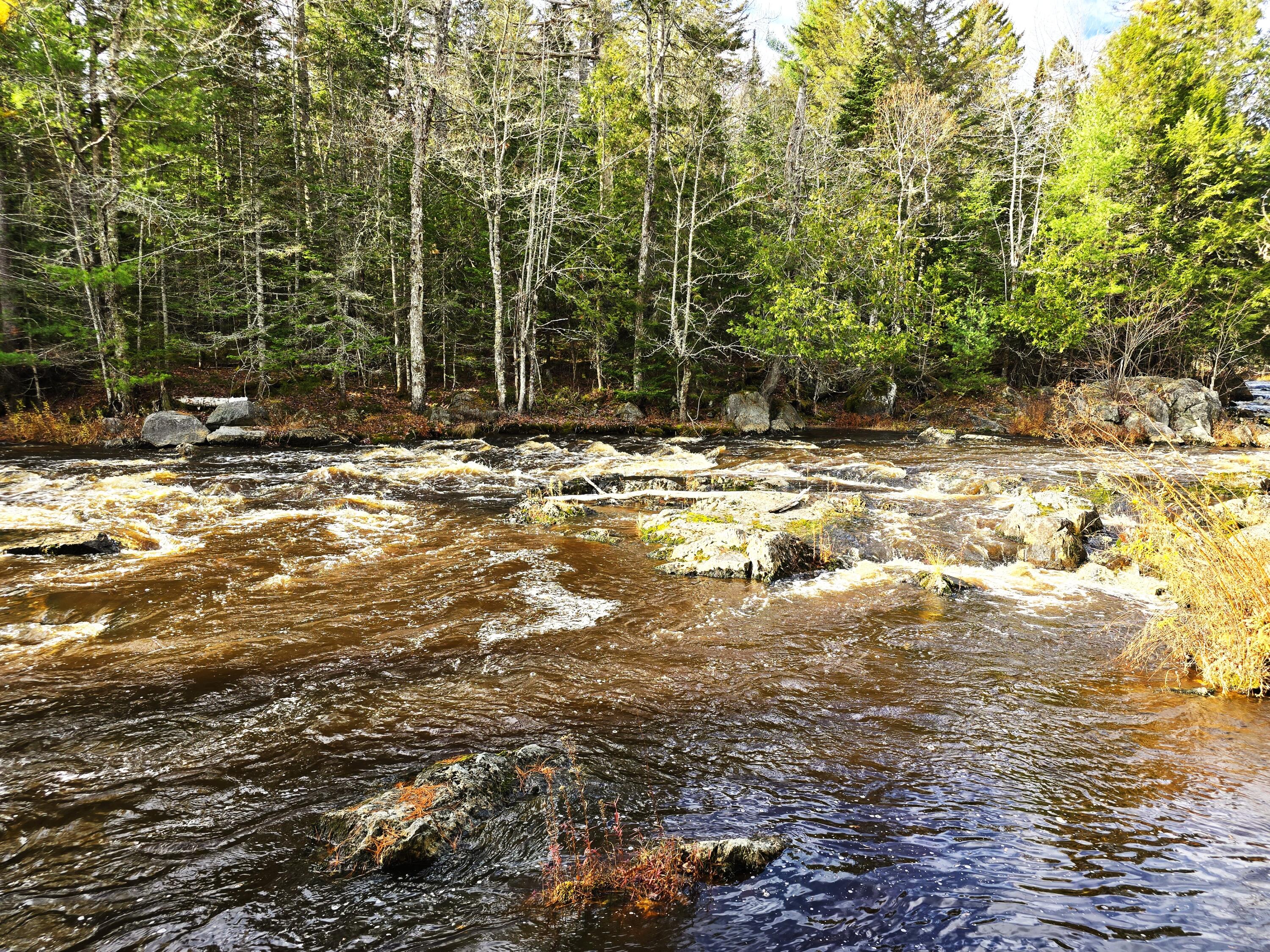 425 Saco Road