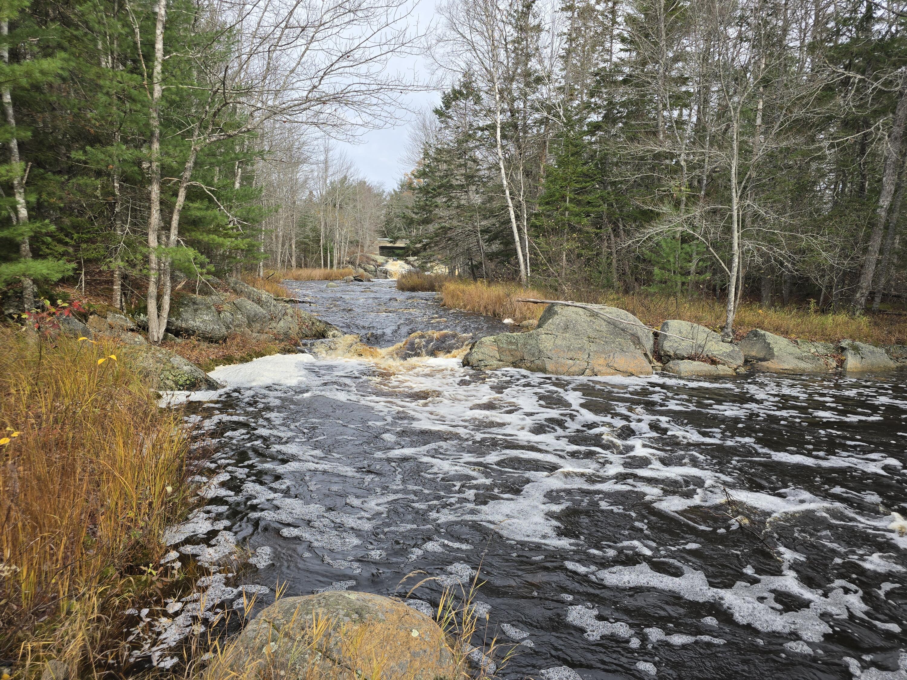 425 Saco Road