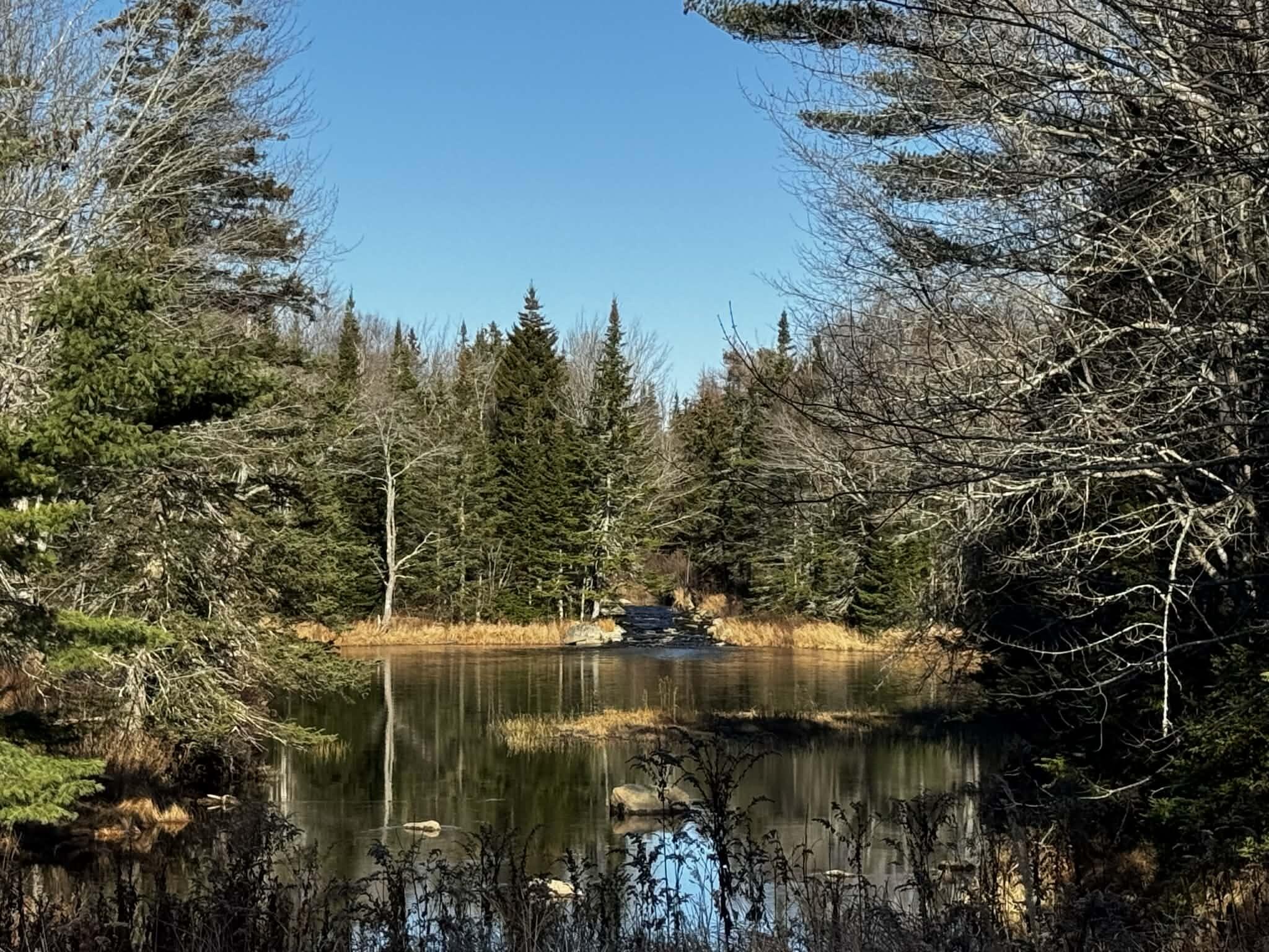 425 Saco Road