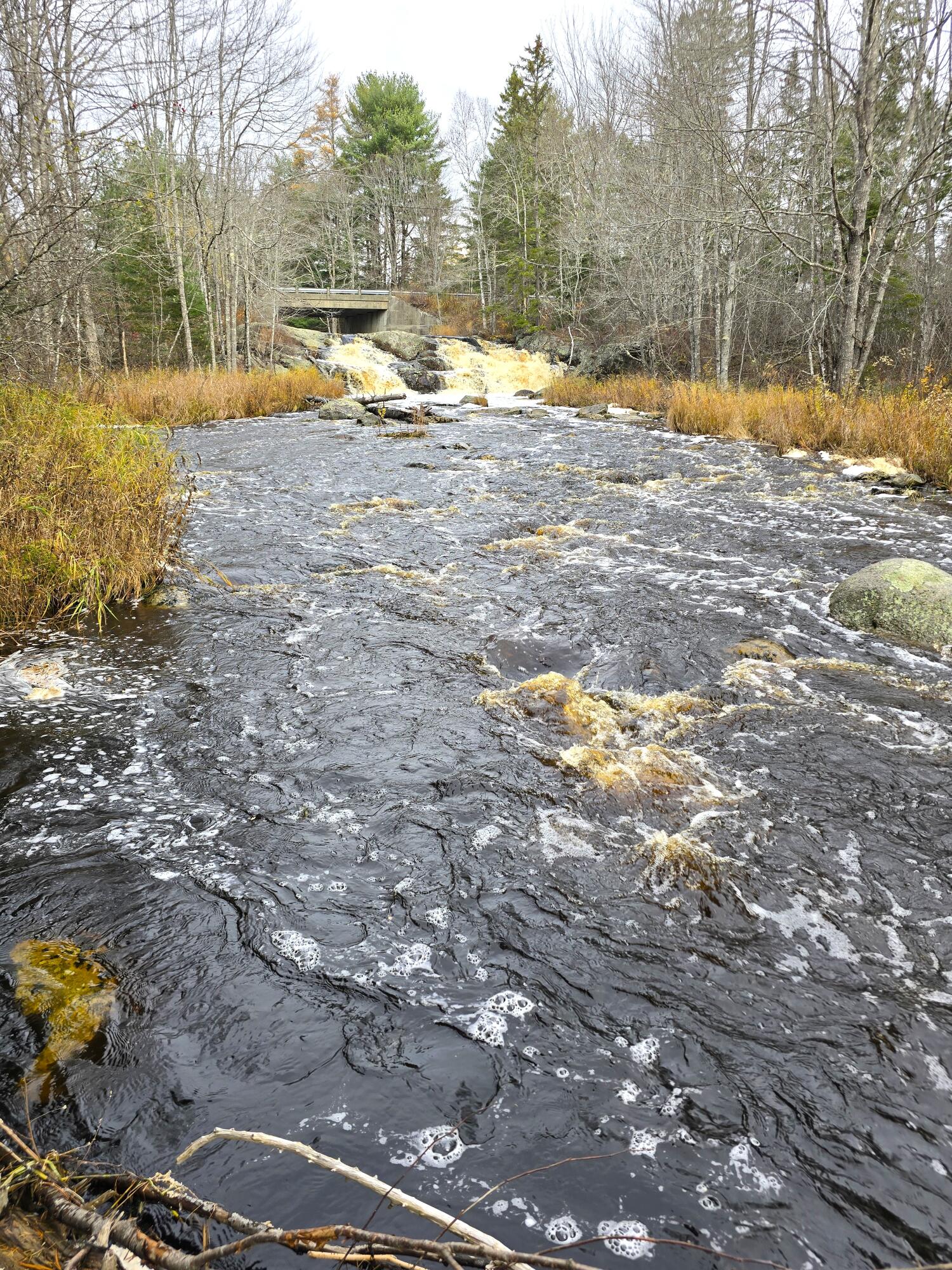 425 Saco Road