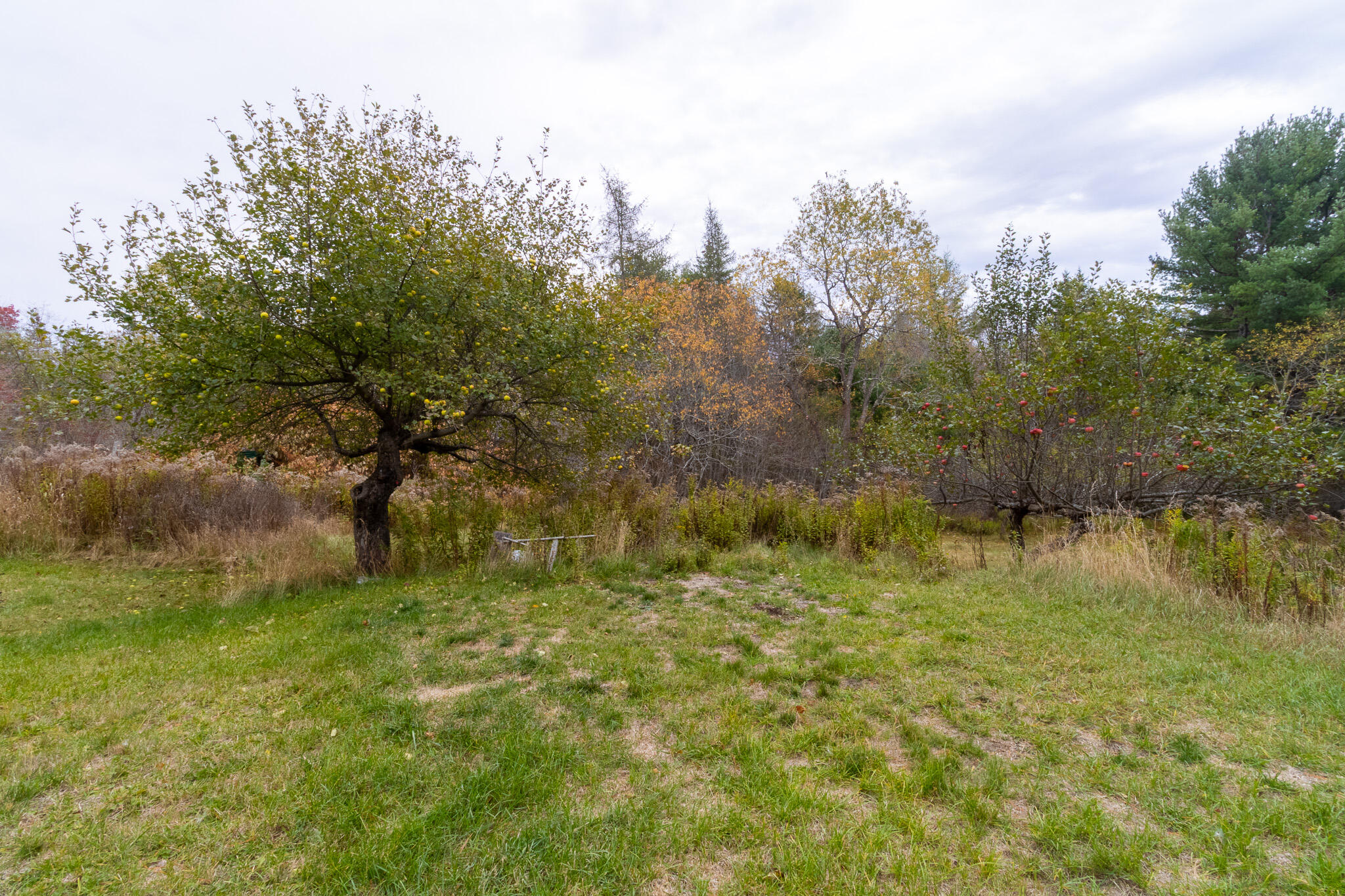425 Saco Road