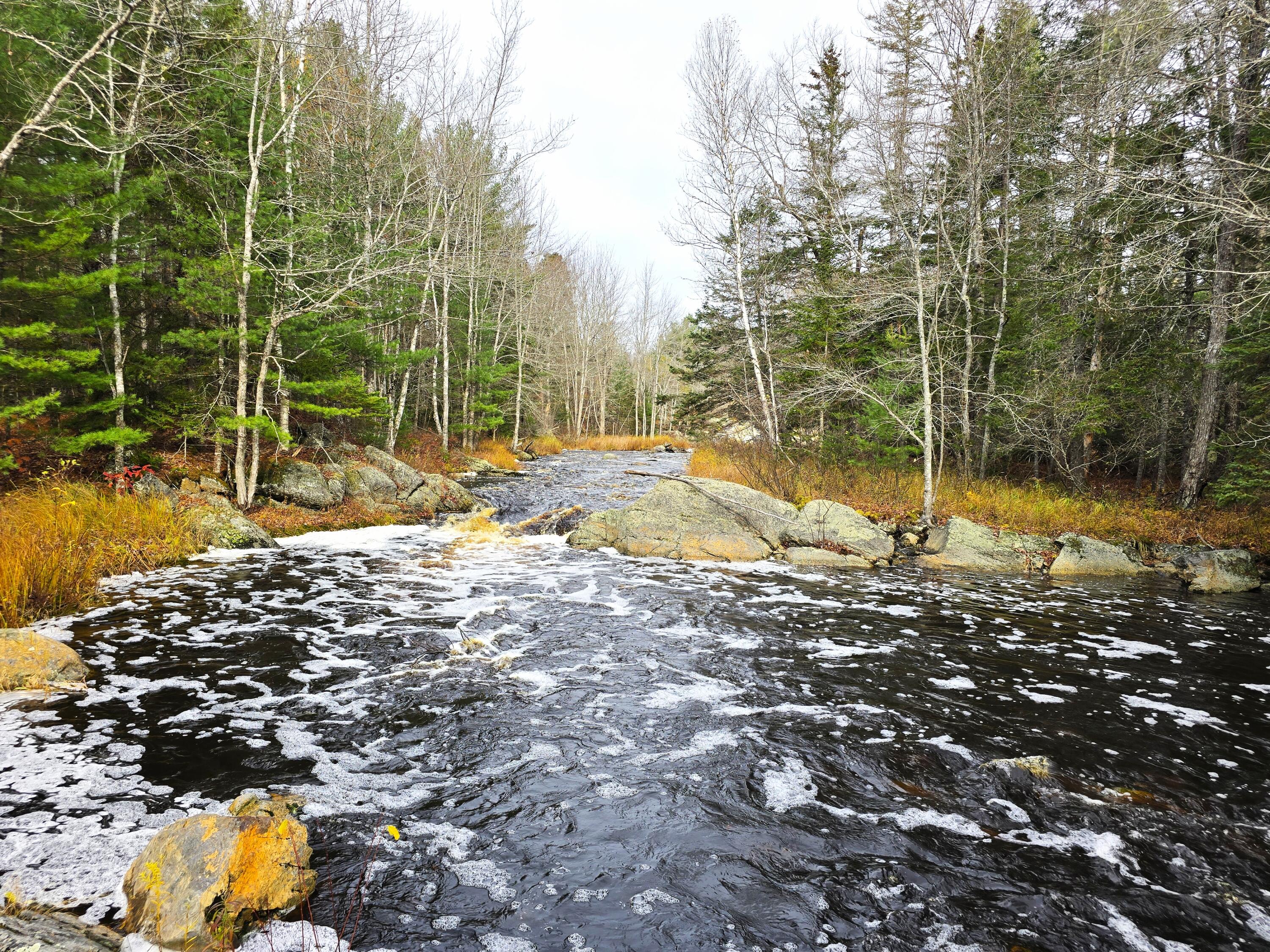 425 Saco Road