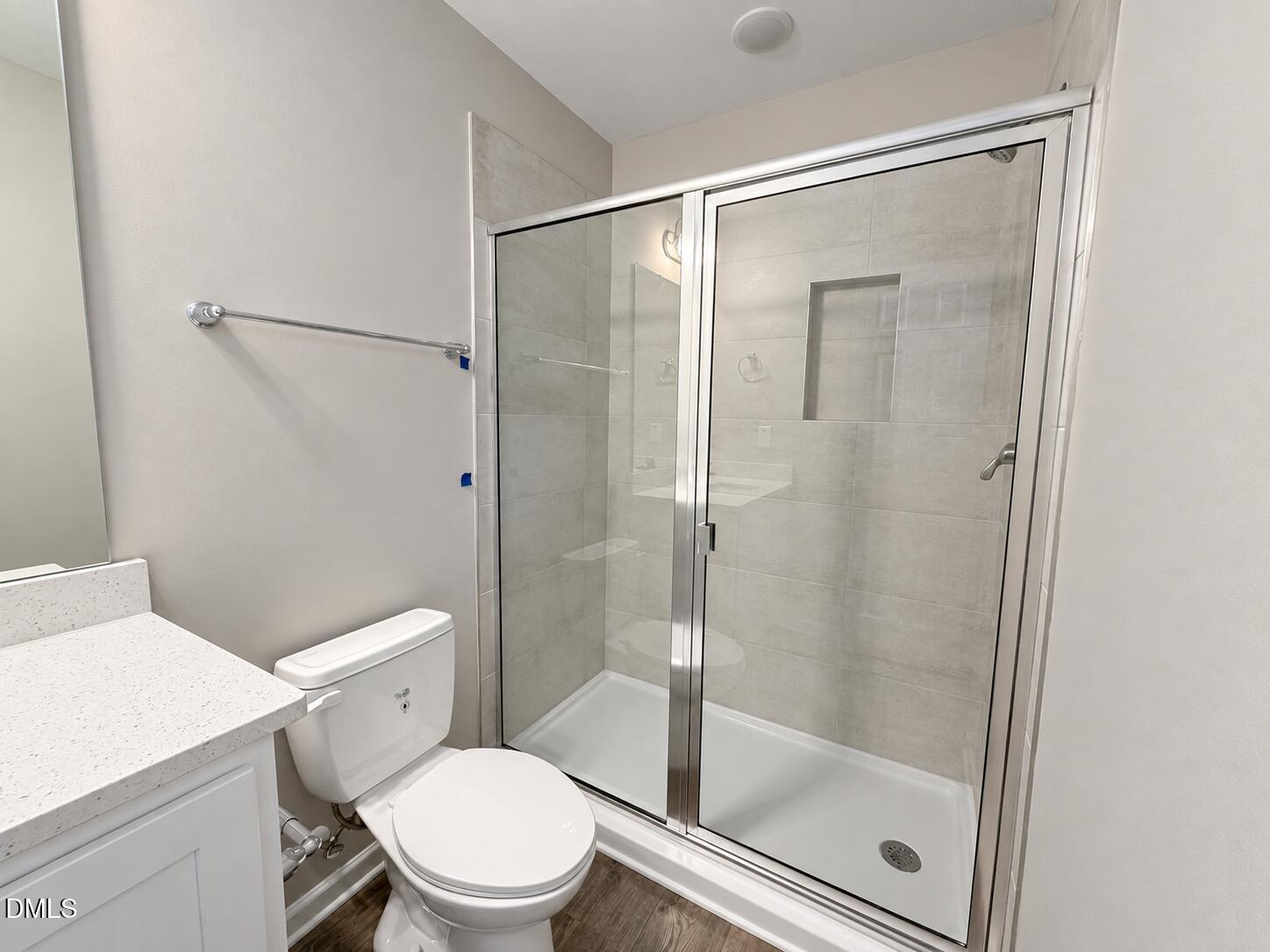 Bathroom with a glass-enclosed tiled shower, recessed niche, toilet, and white vanity.