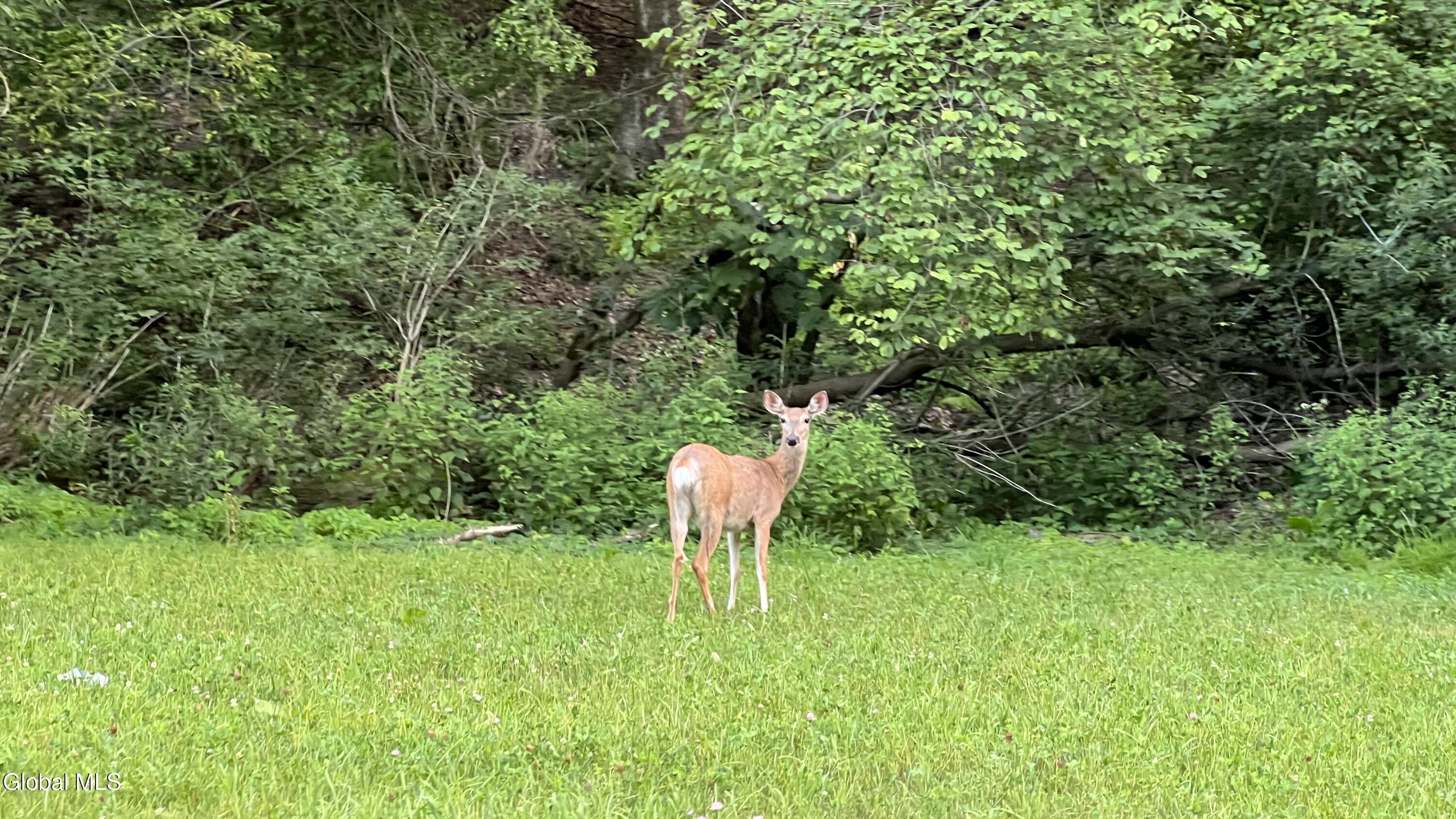 84 Spring Avenue, Troy