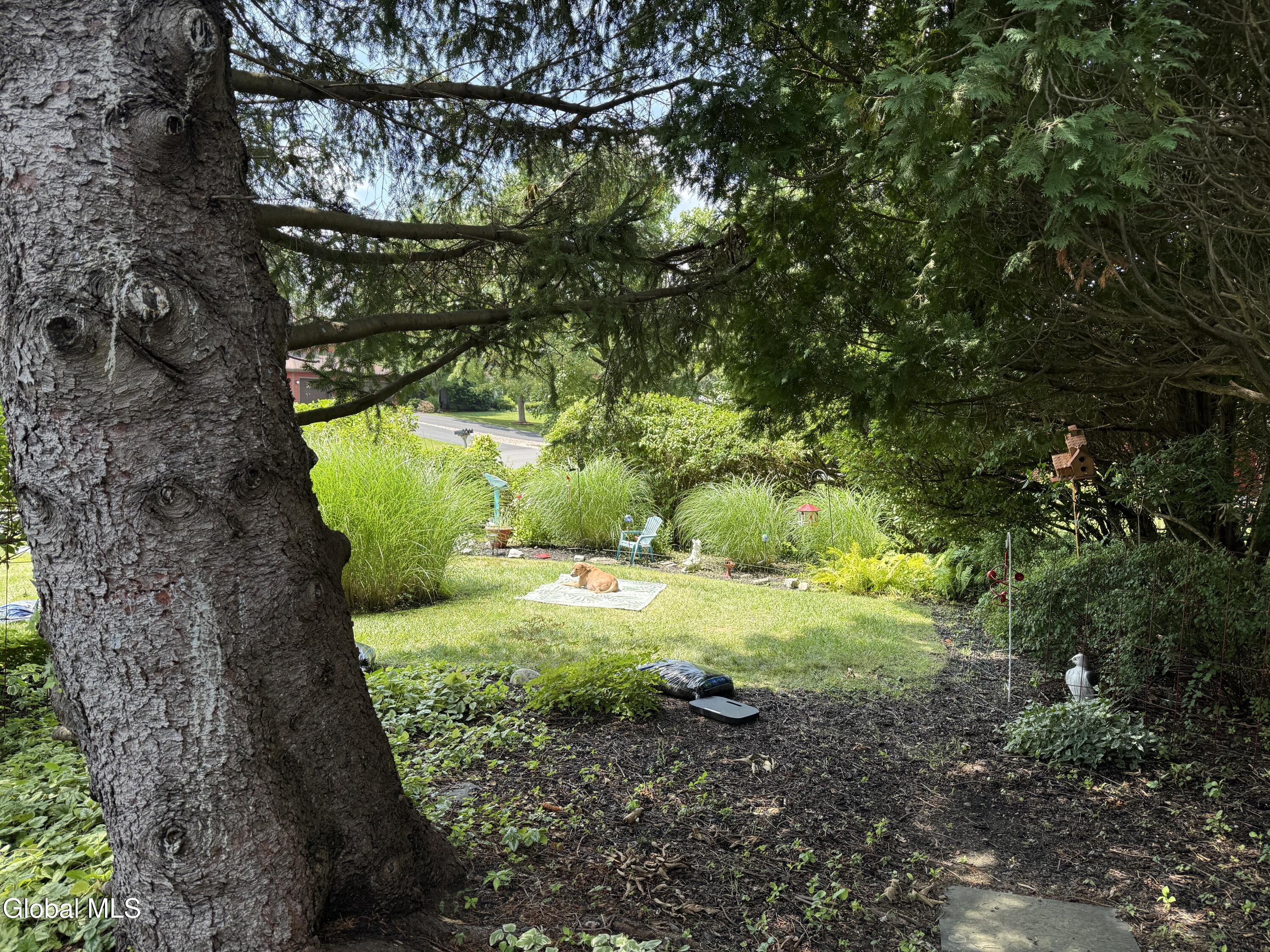 102 Meadowbrook Drive