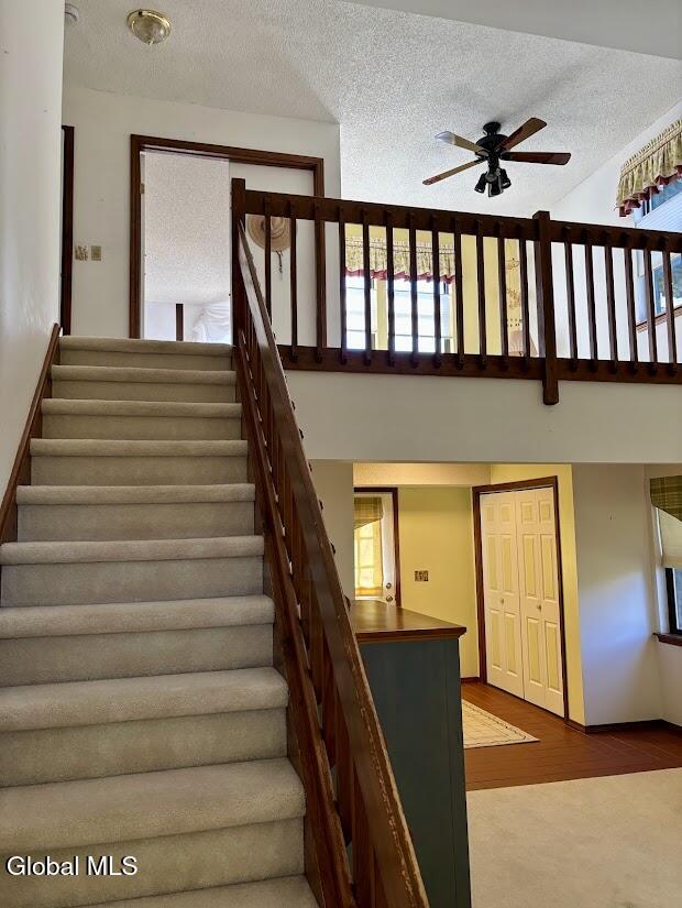 102 Meadowbrook Drive