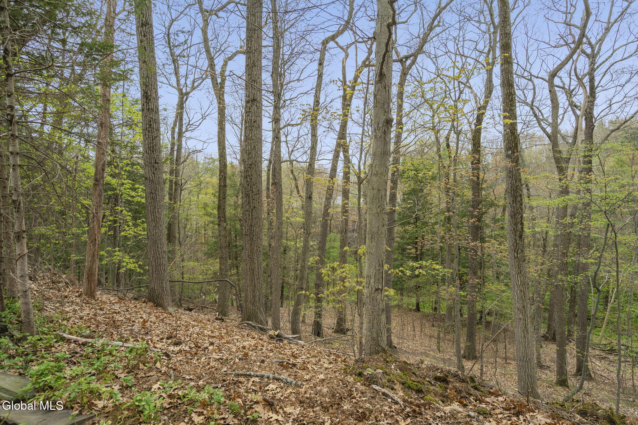19 Glenwood Drive