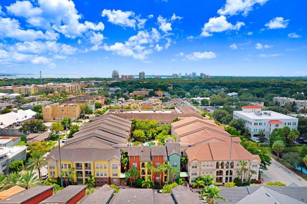 2440 W HORATIO ST #1011