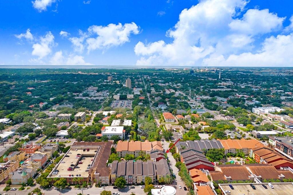 2440 W HORATIO ST #1011
