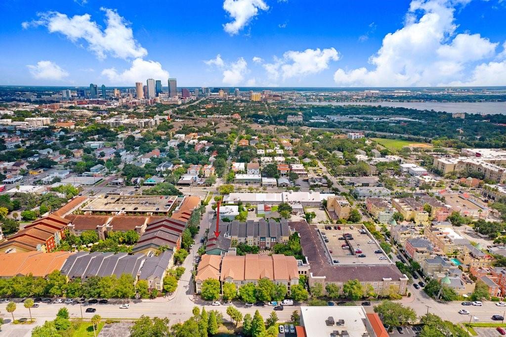 2440 W HORATIO ST #1011