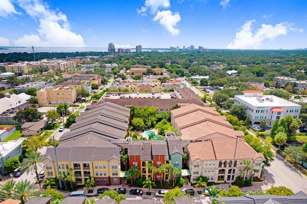 2440 W HORATIO ST #1011