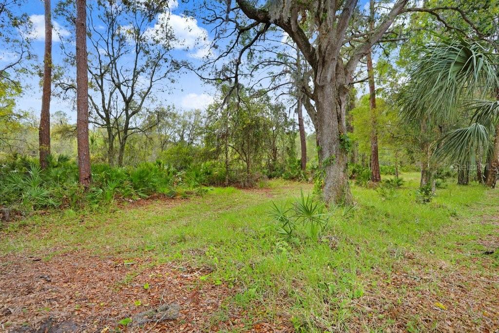 10014 VISTA POINTE DR