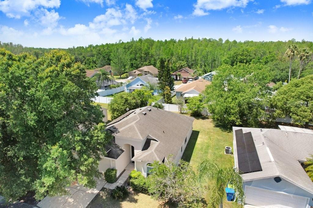 1105 TIMBER TRACE DR