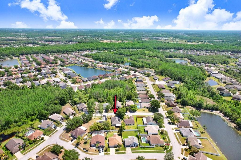 1105 TIMBER TRACE DR