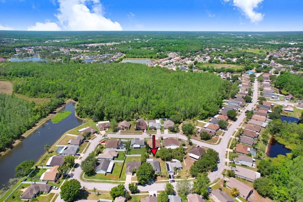 1105 TIMBER TRACE DR