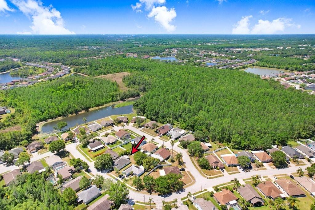 1105 TIMBER TRACE DR