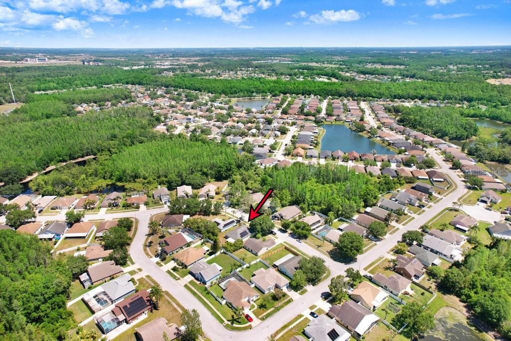 1105 TIMBER TRACE DR