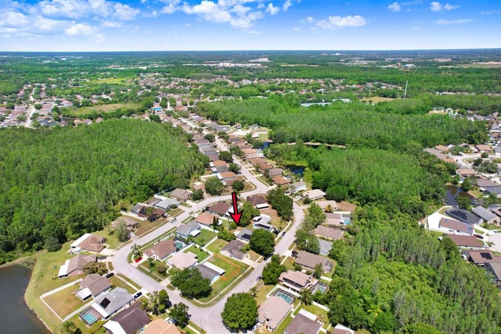 1105 TIMBER TRACE DR