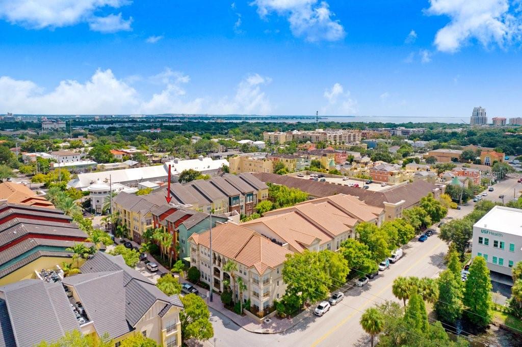 2440 W HORATIO ST #1012