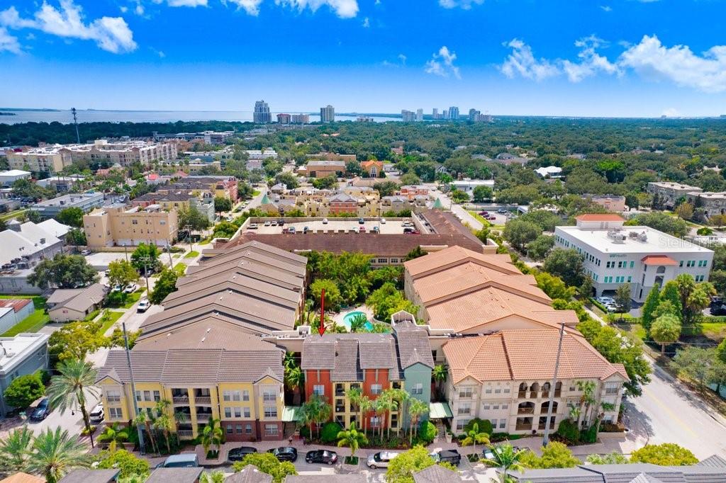 2440 W HORATIO ST #1012