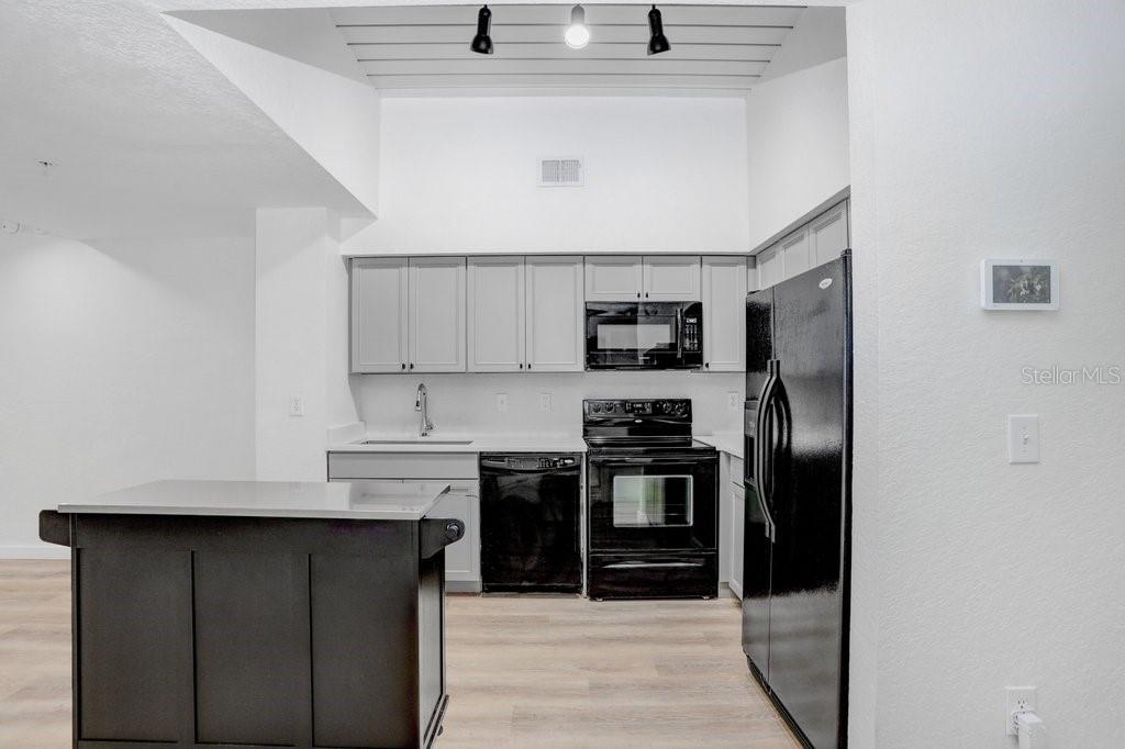 2440 W HORATIO ST #1012