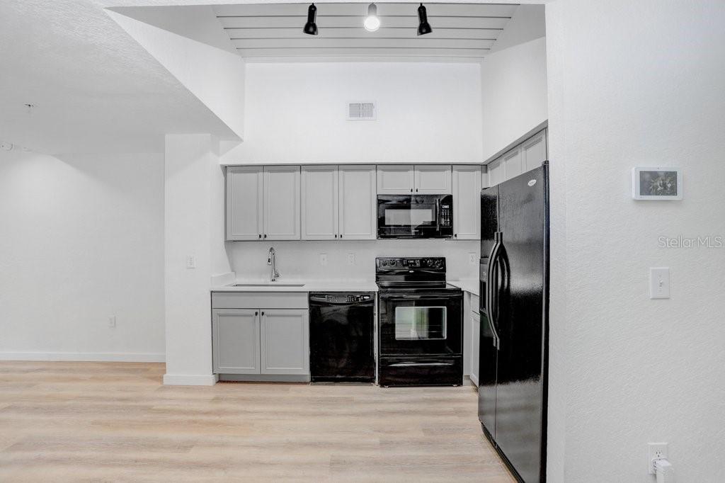 2440 W HORATIO ST #1012