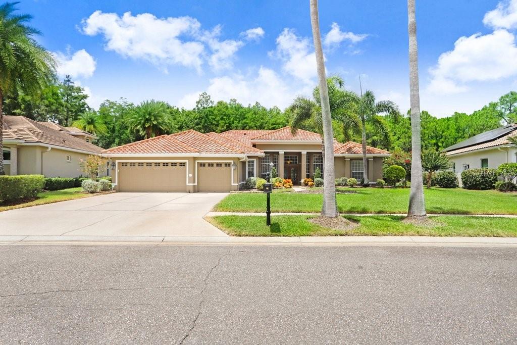 12029 BREWSTER DR
