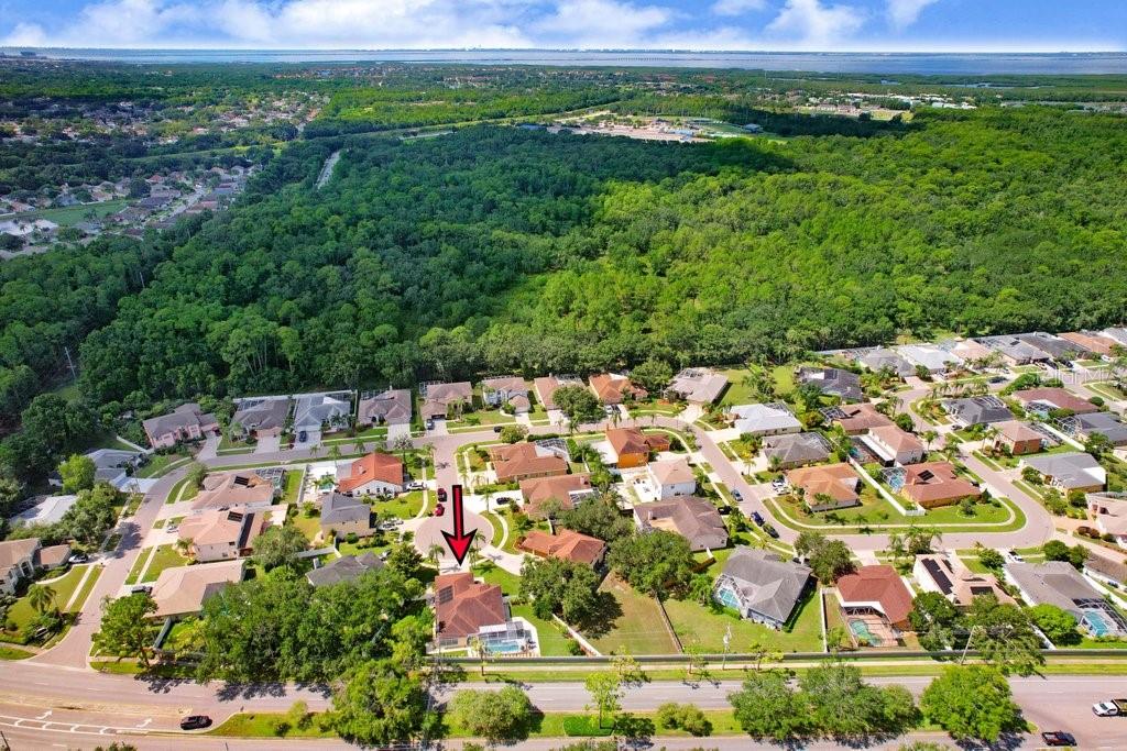 8708 EAGLE COVE CT