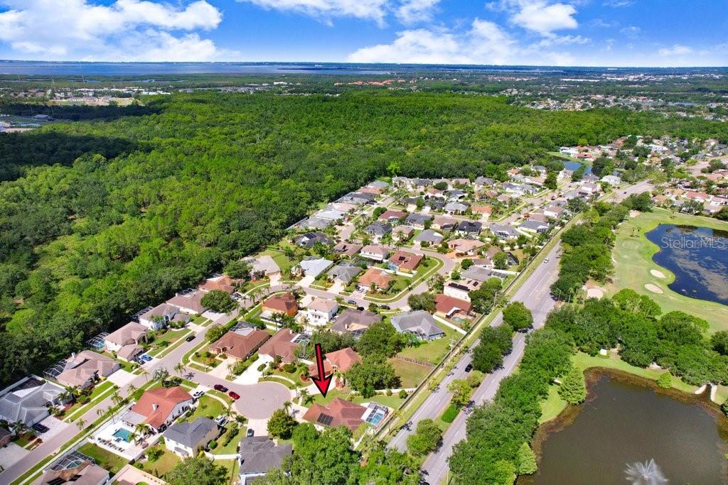 8708 EAGLE COVE CT