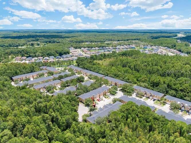 16316 WORCHESTER PALMS CT