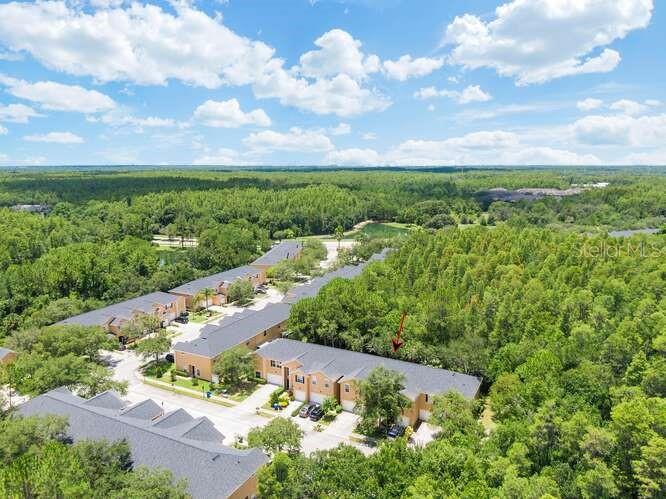 16316 WORCHESTER PALMS CT