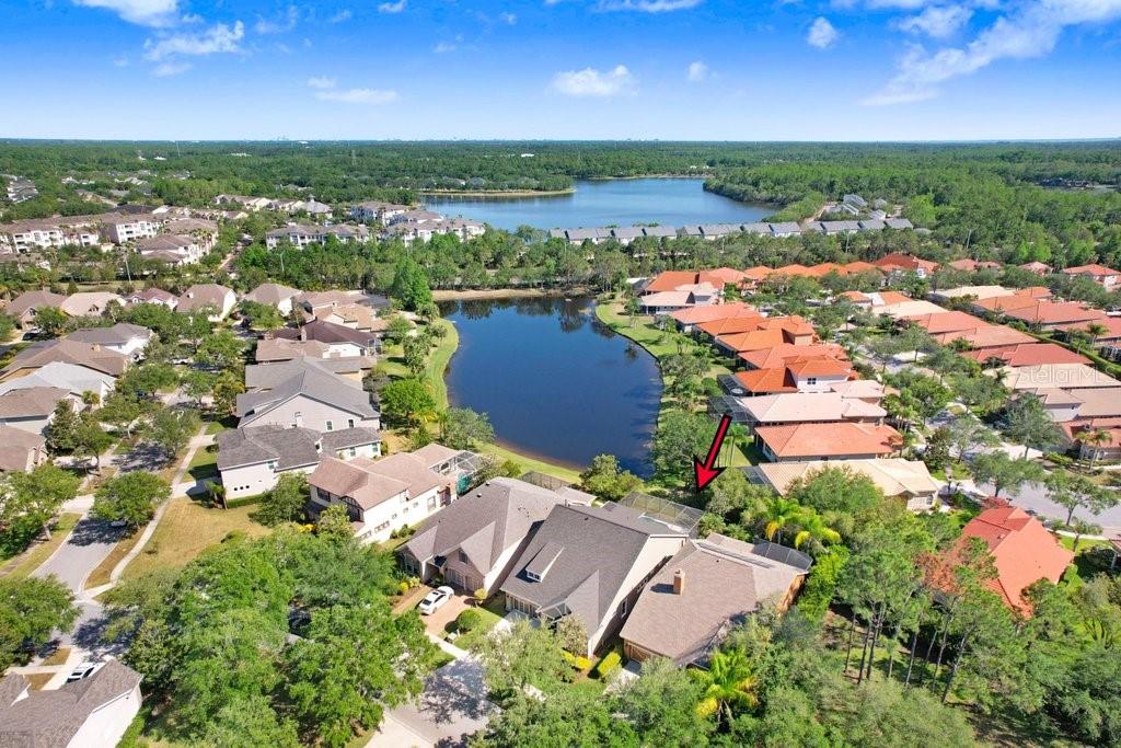 11644 MERIDIAN POINT DR