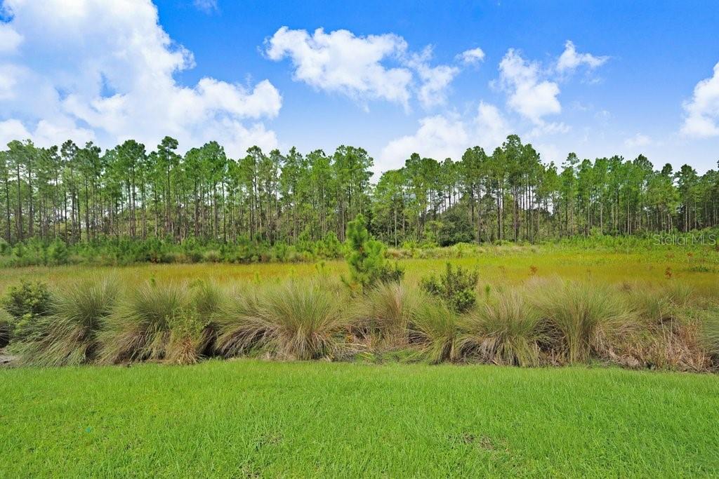 16160 NOVEMBER RAIN CT