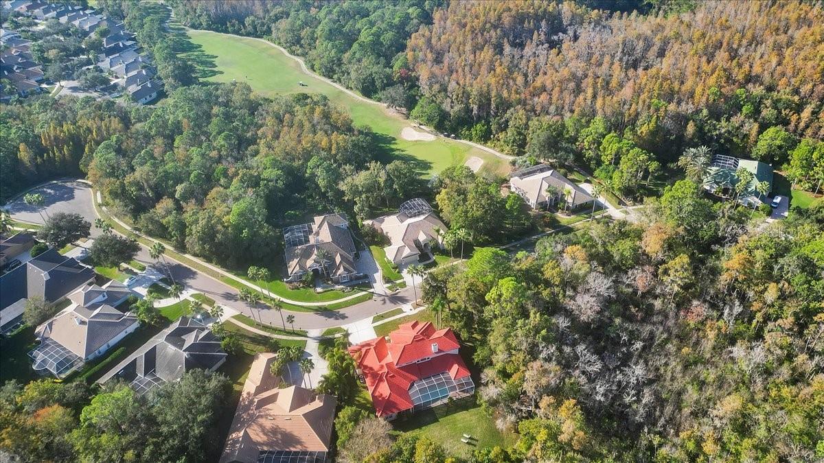 9814 EMERALD LINKS DR