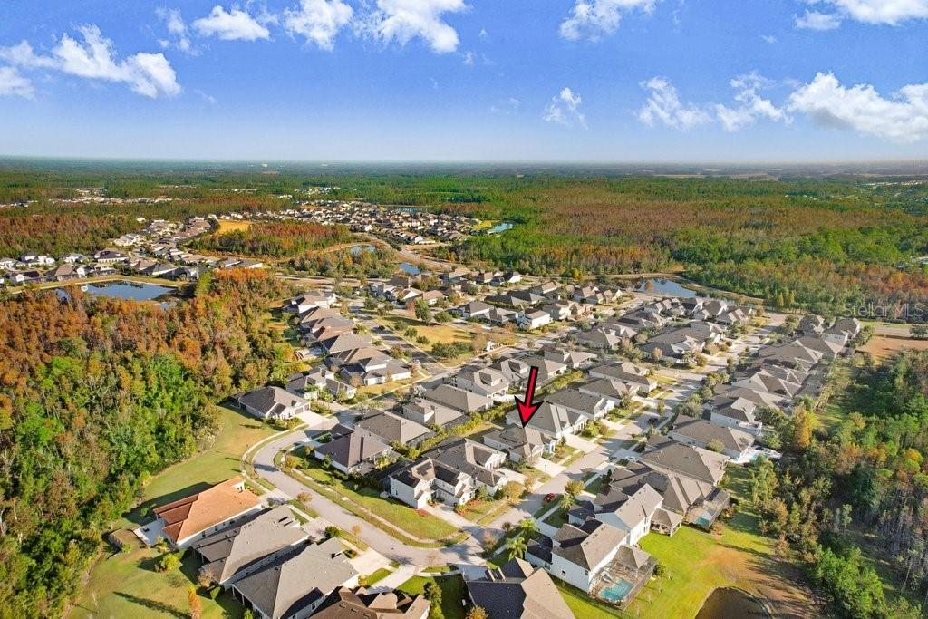 16711 COURTYARD LOOP