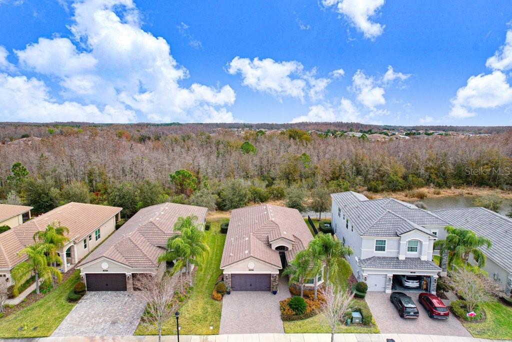 2436 OAKWOOD PRESERVE DR