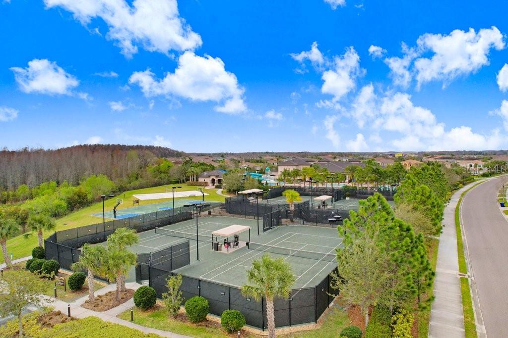 2436 OAKWOOD PRESERVE DR