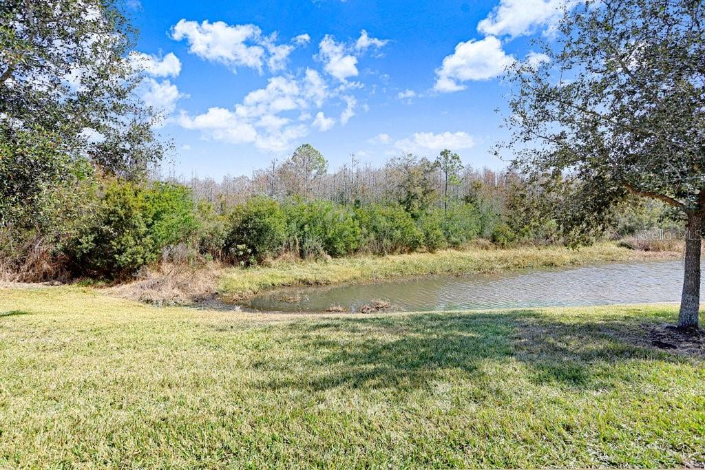 2436 OAKWOOD PRESERVE DR