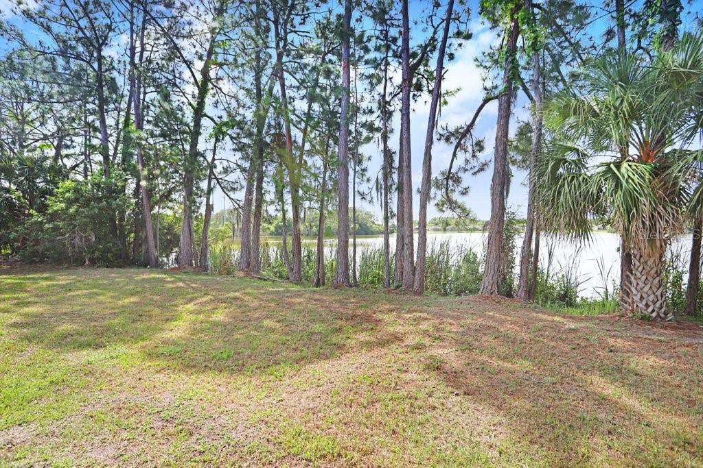 11404 CROWNED SPARROW LN