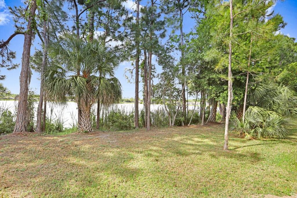 11404 CROWNED SPARROW LN