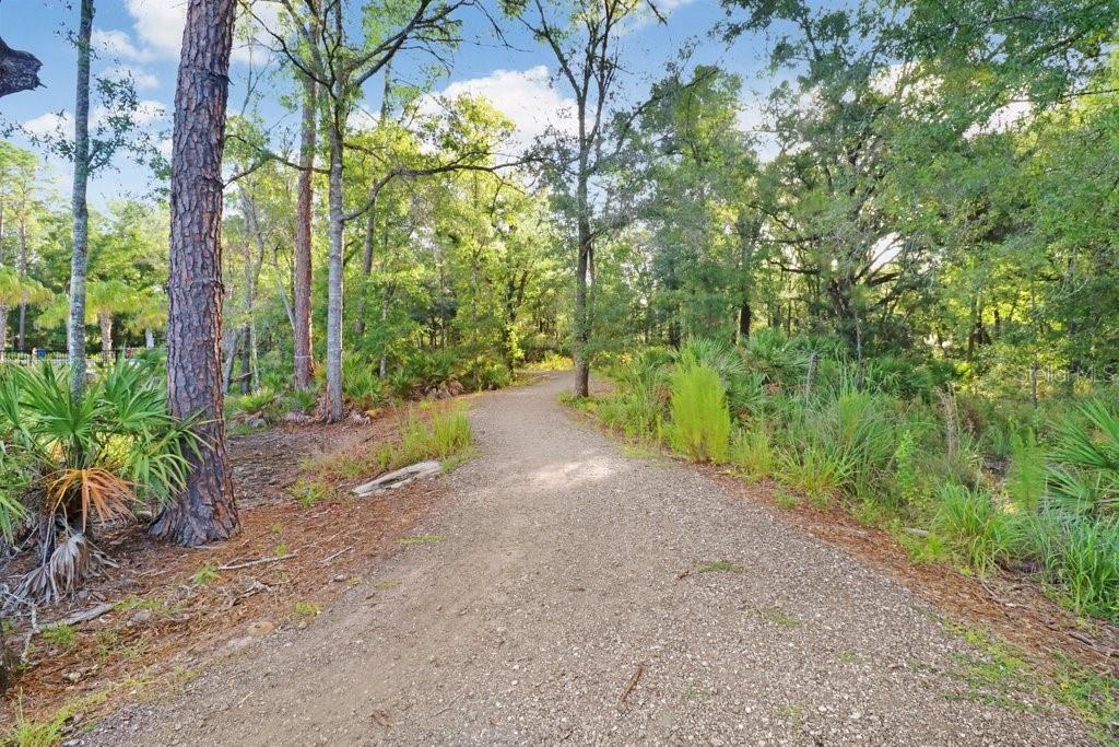 16247 NOVEMBER RAIN CT