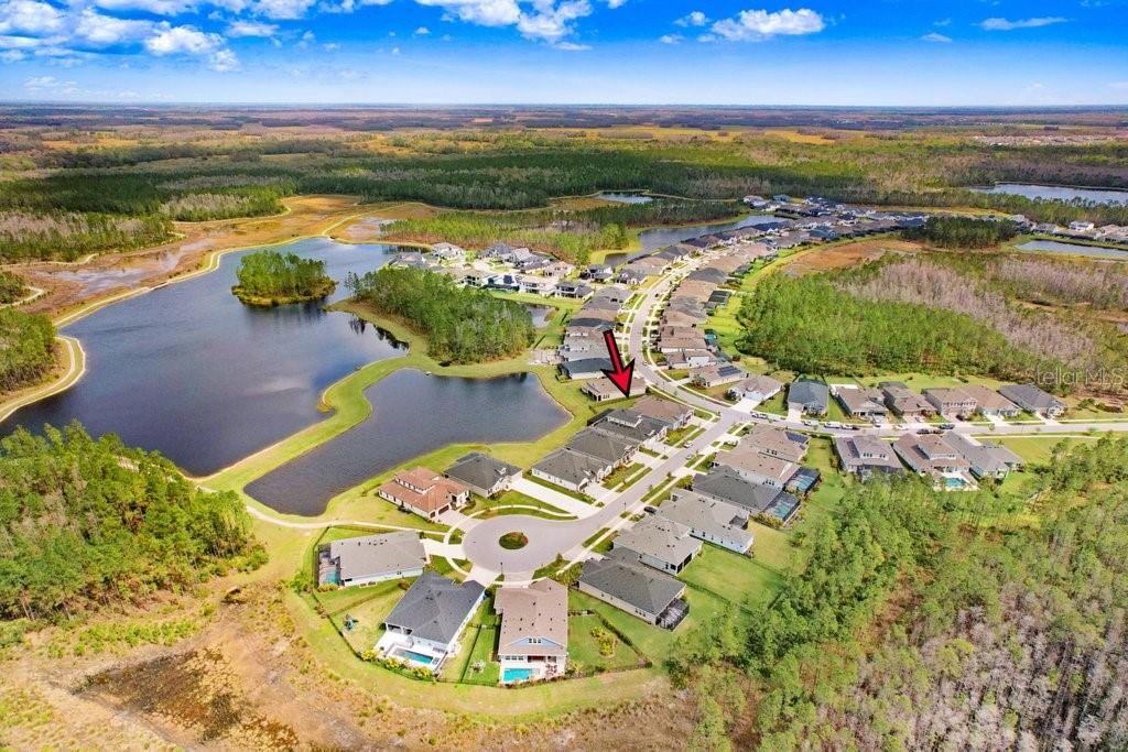 16247 NOVEMBER RAIN CT