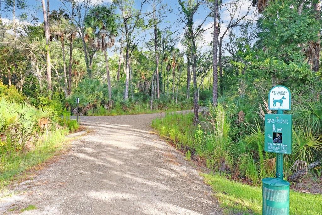 16247 NOVEMBER RAIN CT