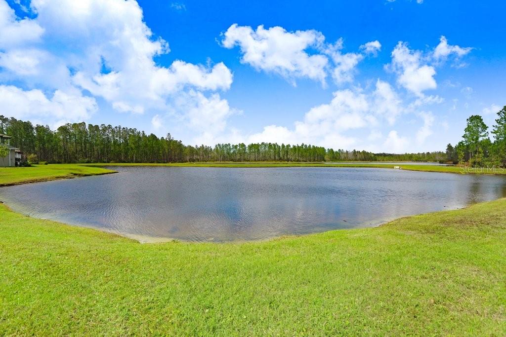 16247 NOVEMBER RAIN CT