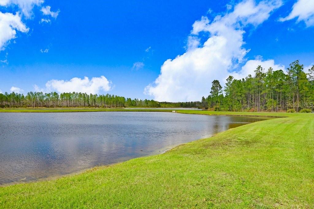 16247 NOVEMBER RAIN CT