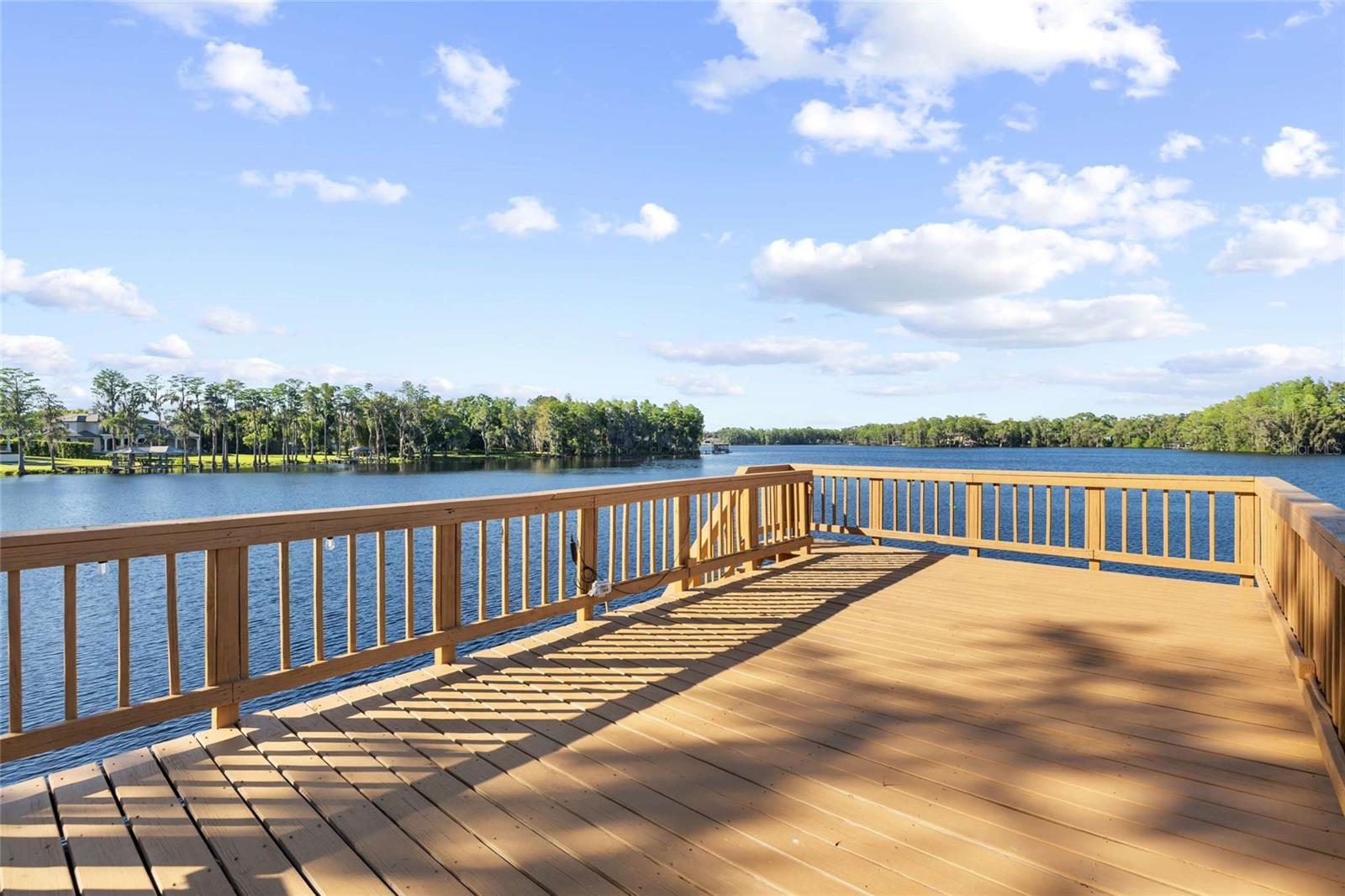 9901 MENANDER WOOD CT