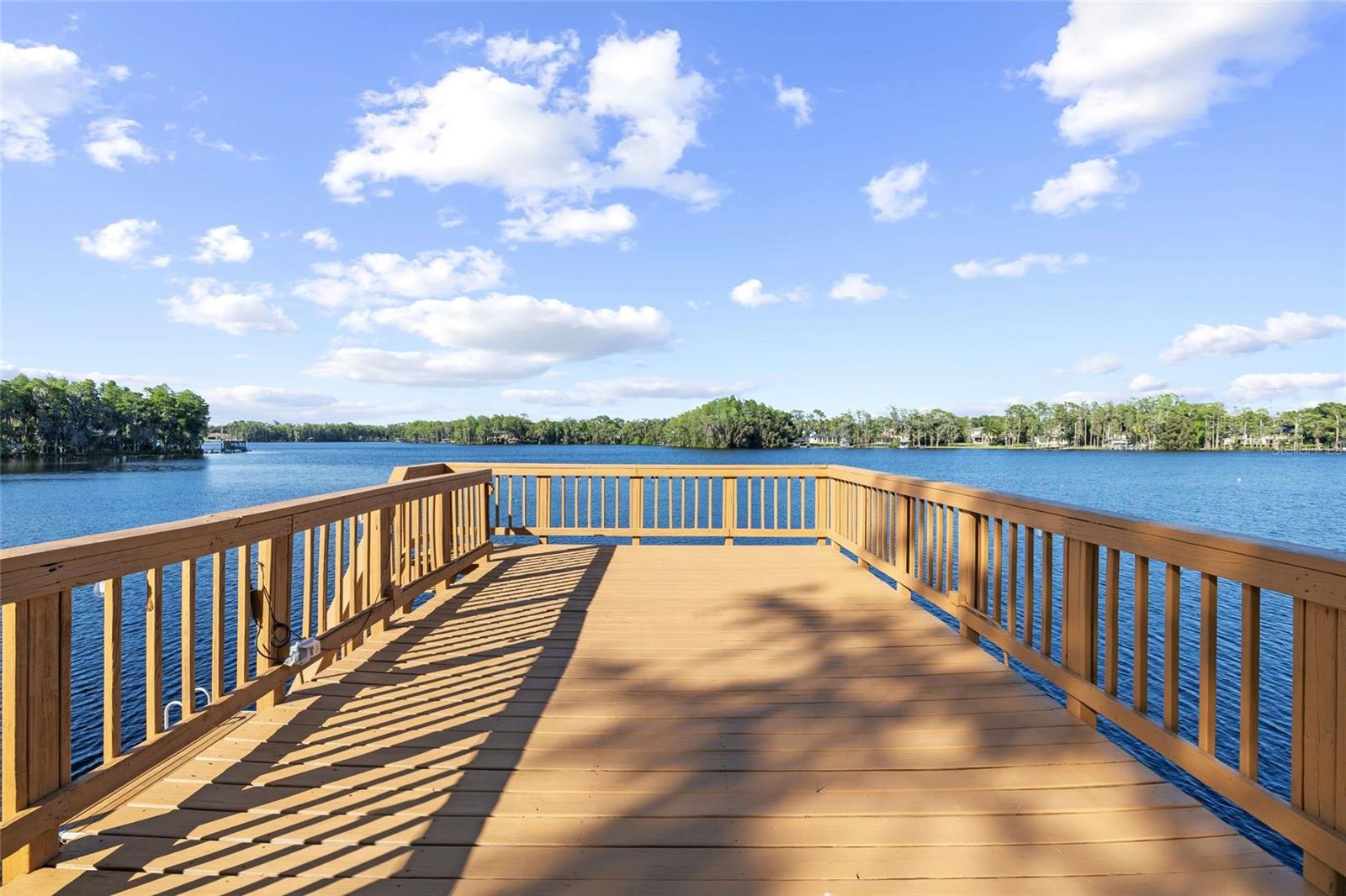 9901 MENANDER WOOD CT