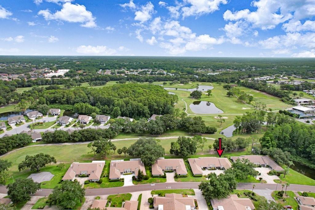 9247 GOLF VIEW DR #9247